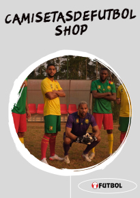 Camerun camiseta 22-23